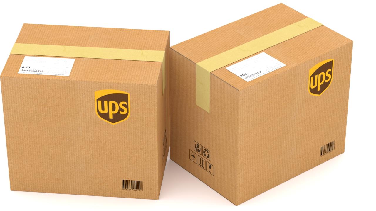 UPS Cardboard Box 3d models
